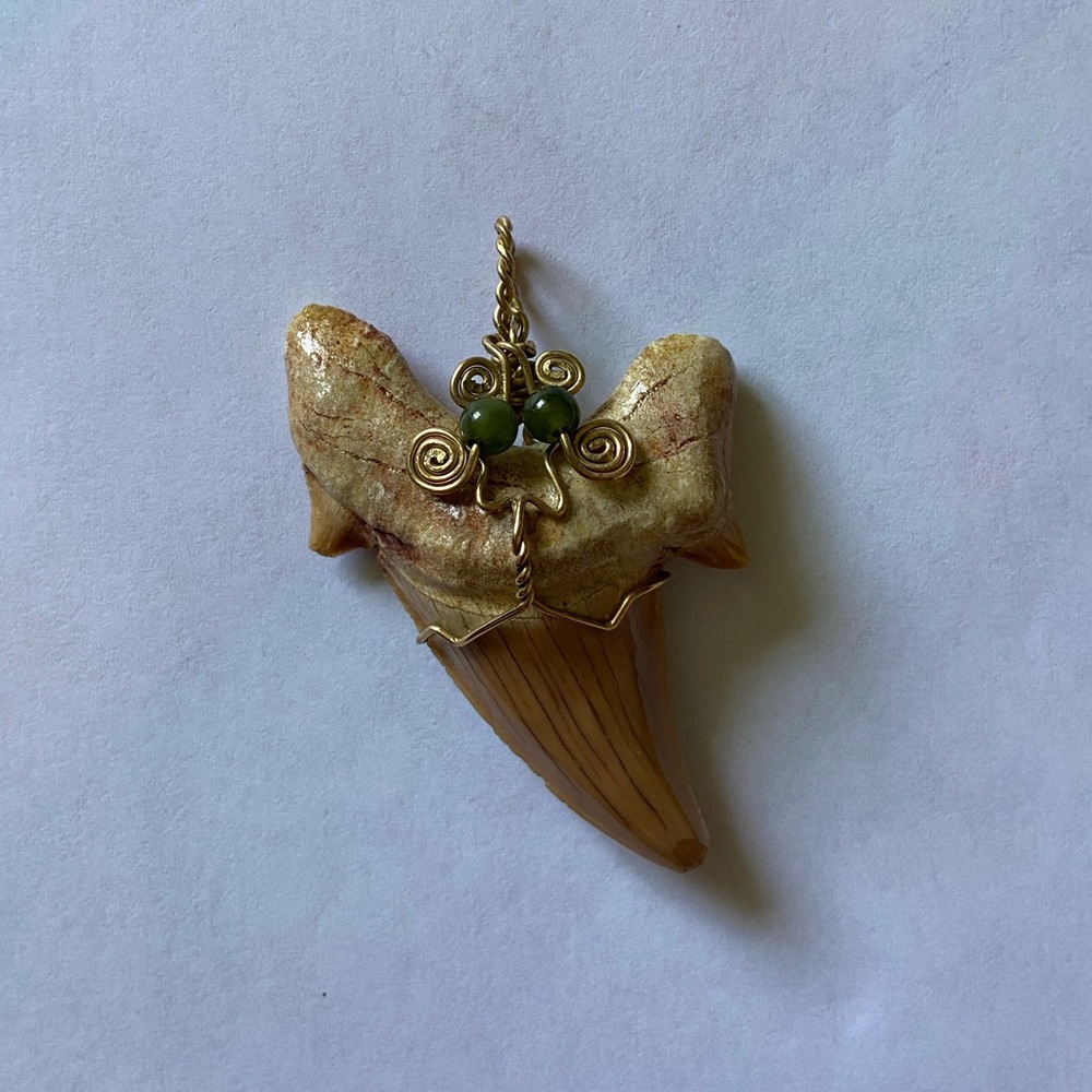 Megalodon Tooth Pendant